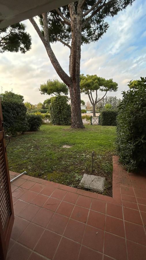 Apartaments Marina Del Cavallino 외부 사진